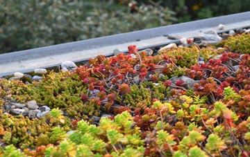 the cost of Kirkabister green roof installation